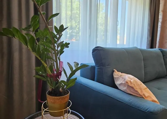 Ela Apartmán Subotica